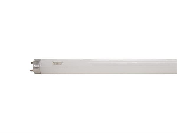 LAMPADA LED TUBULAR 20,5W 3000K - TASCHIBRA 11080224 06.12.461 