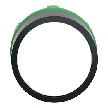 VISOR ZB5AW31 ZB5AW31 21.15.525 