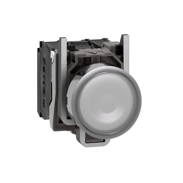 BOTAO LUMINOSO XB4BW31B5 XB4BW31B5 21.16.278 