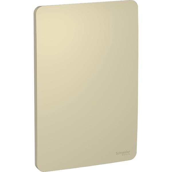S730100234 - PLACA 4X2 CEGA HORIZON GOLD S730100234  13.50.020 