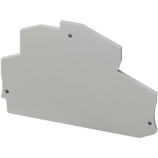 PLACA FINAL 2,5 - NSYTRACRE24 NSYTRACRE24 21.70.800 
