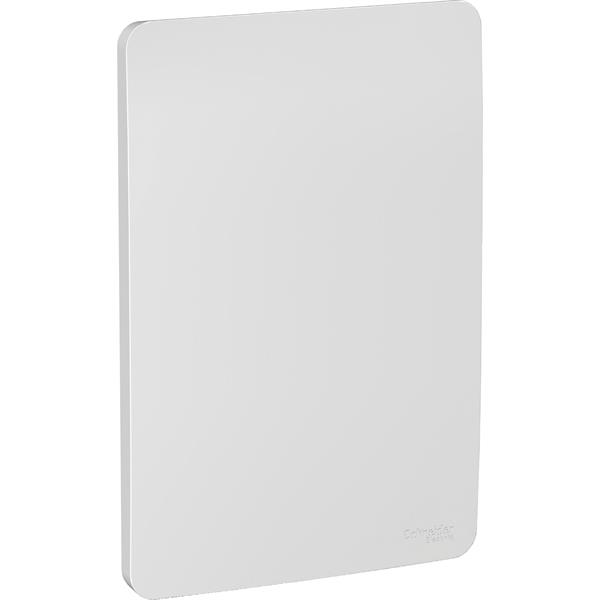 S730100274 - PLACA 4X2 CEGA GAMMA SILVER S730100274  13.50.058 