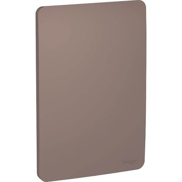 S730100264 - PLACA 4X2 CEGA PLANET BROWN S730100264  13.50.078 